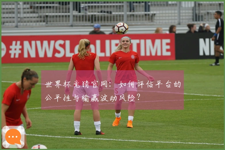 世界杯竞猜官网：如何评估平台的公平性与输赢波动风险？