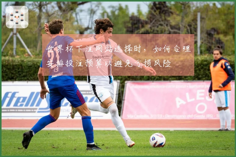 世界杯下注网站选择时，如何合理安排投注预算以避免亏损风险