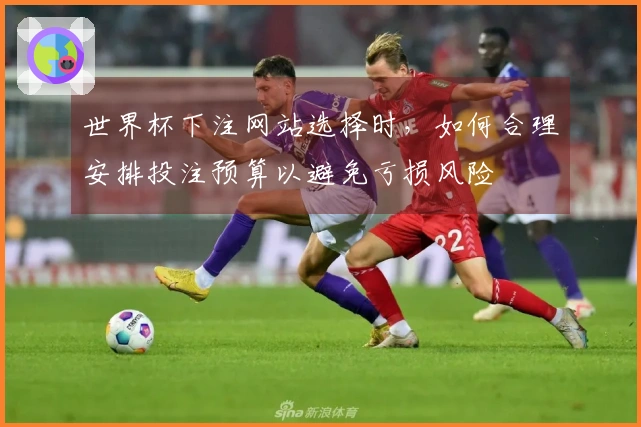 世界杯下注网站选择时，如何合理安排投注预算以避免亏损风险