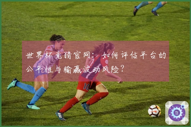 世界杯竞猜官网：如何评估平台的公平性与输赢波动风险？